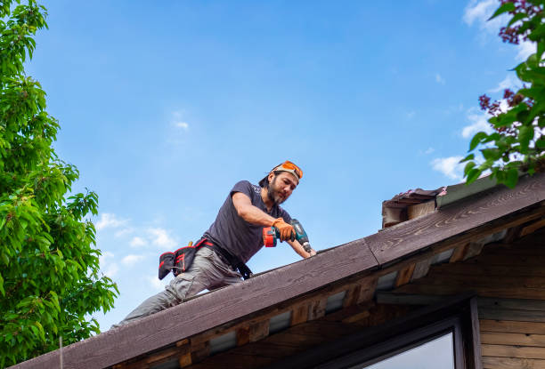 Best Solar Panel Roofing Installation  in Elk Grove Vlage, IL